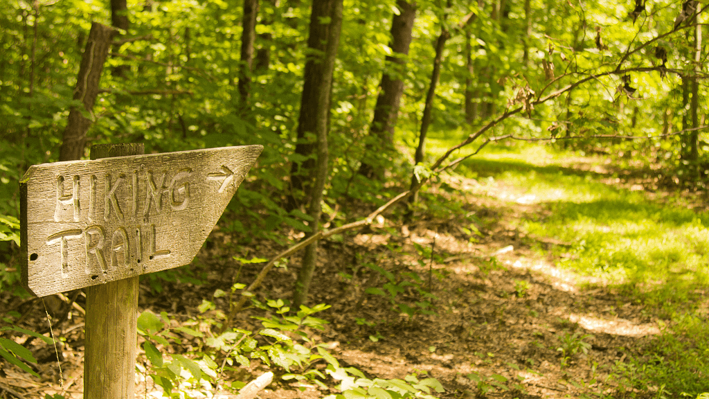 Best half-day hikes near Johannesburg