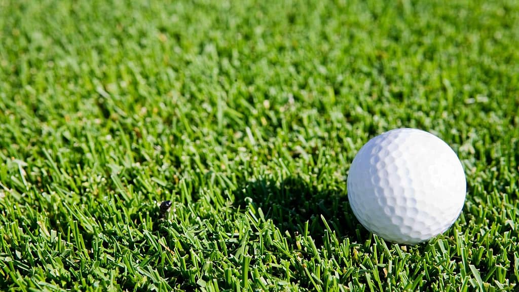 Review of Oxford Golf Resort, Pune