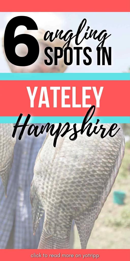 6 best angling spots in Yateley, Hampshire