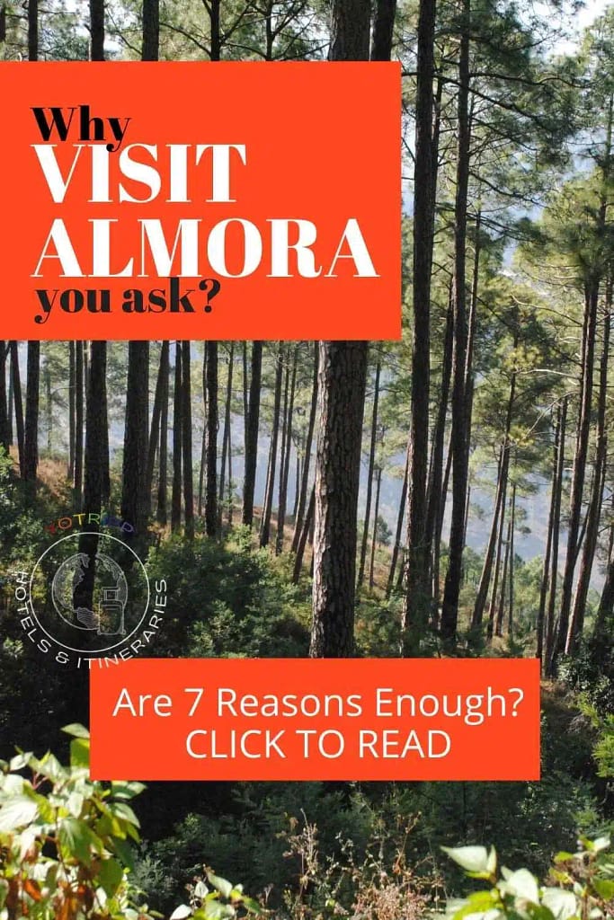 Compelling Reasons to Travel to Almora, Uttarakhand